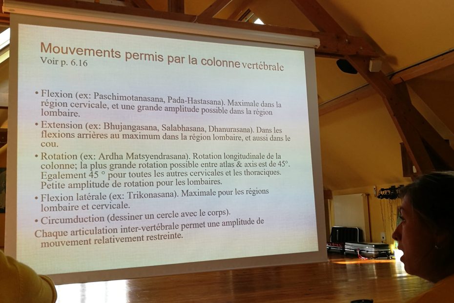 photo prise durant l'un des cours d'anatomie d'un tableau expliquant les mouvements permis par la colonne vertébrale