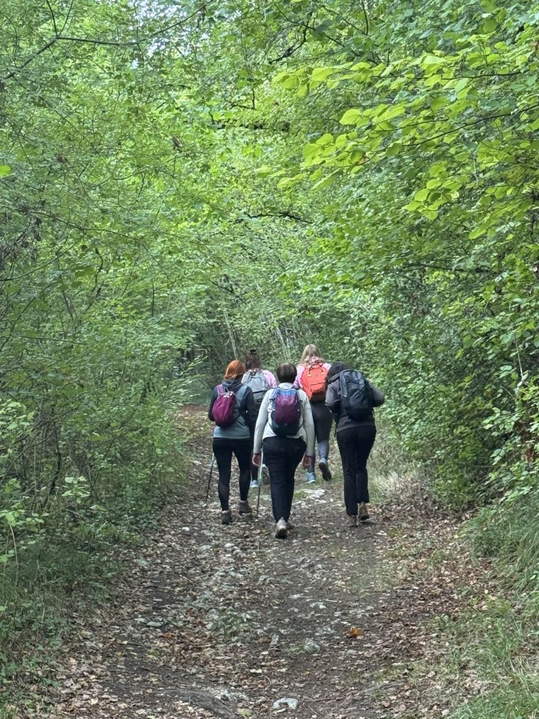 Randonnée en forêt, photo du groupe prise de derrière